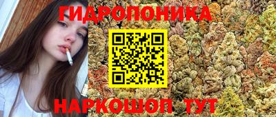 мяу мяу мука Кимры